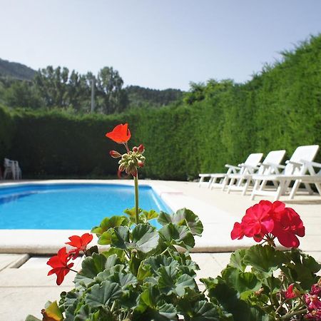 Hotel La Planada Ордино Экстерьер фото